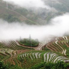 Dragon's Backbone rice terraces